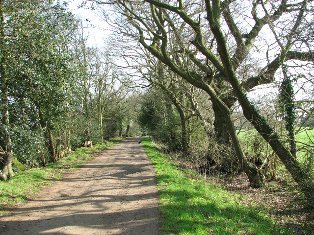 Footpath to Browns Hill