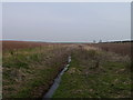 Uncultivated Strip Near Printonan