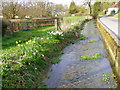 River Ebble, Broad Chalke