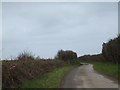 Road west towards Tresillian Barton