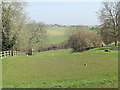 Hennerton Golf Course 7th green