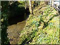 Stream near Egypt Mill, Nailsworth