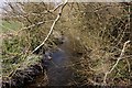 The River Ock from Lyford Bridge