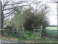 Footpath off Ramsbrook Lane