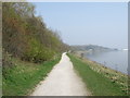 Trans Pennine Trail heading east along the Mersey