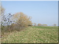 Farmland near Steward