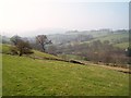 Grazing Land near Cadster Farm