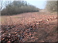 Reject tiles from Ruabon Brickworks