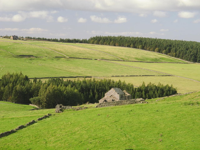 West Farm and the valley of Bolt's Burn