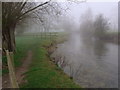 Upstream from the footbridge