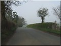 Footpath crosses the lane