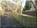 Bridleway by Witley park boundary wall