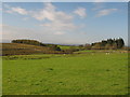 Pastures south of Spadeadam Farm, and the valley of Green