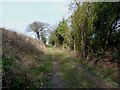 Bridleway behind Congreve Farm