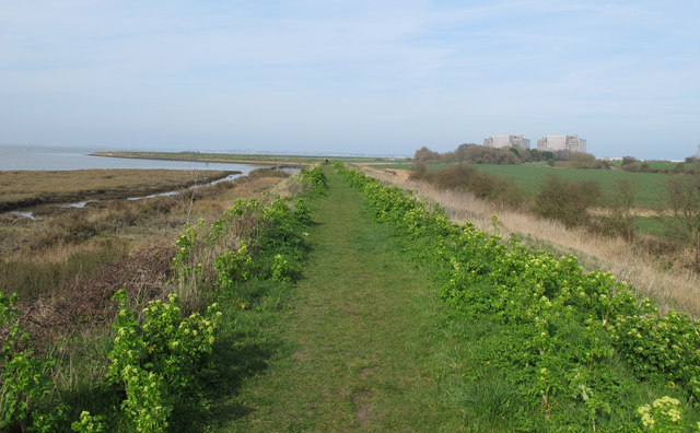 Path to power station