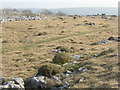 SD5479 : Limestone grassland on Newbiggin Crags by M J Richardson