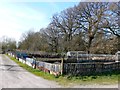 Allotment gardens, Pipers Way, Swindon (2)