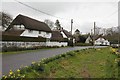 Cottages by the road