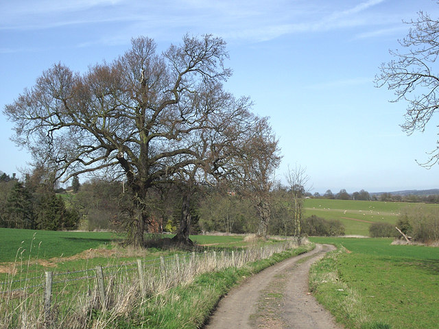 Farm track north of Six Ashes, Staffordshire