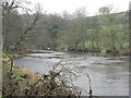 Afon Dyfrdwy/River Dee near Cynwyd