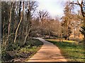 Path in Alexandra Park