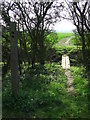 Footpath And Sign