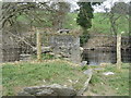 SJ0542 : Bridge remains by the River Dee by M J Richardson