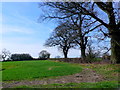 Countryside near Deer Park Farm