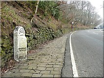SE0022 : Milestone on Blackstone Edge Road by Humphrey Bolton