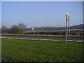 Fields by the A25, Sundridge