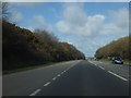 A39 cutting west of Trevornick Farm