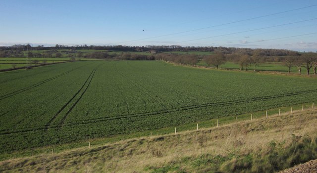 Field near Easterton