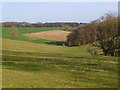 Farmland, Aldbourne