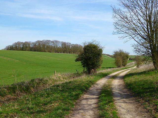 Track and farmland, Lambourn