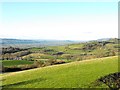 View to Welshpool from Cefn y Coed