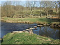 Stepping stones Afon Machno Penmachno (2)