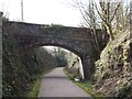 Bridge over Camel Trail