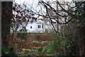 The Old Palace seen through the trees