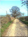 The track near Chilaway Farm