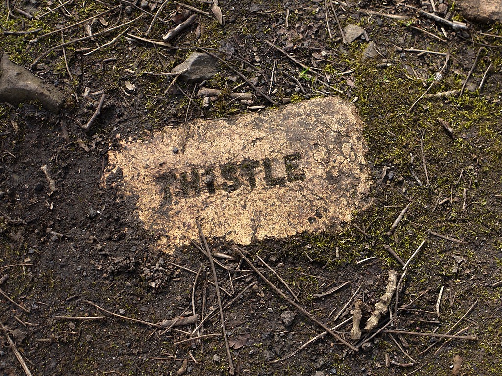 'Thistle' brick, former waggonway near... © Andrew Curtis :: Geograph ...