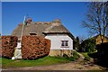 Another Thatched Cottage in Reed