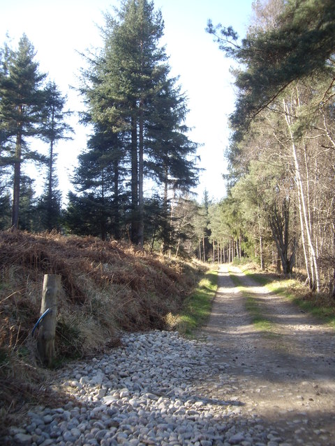 Access lane to Balnacraig House