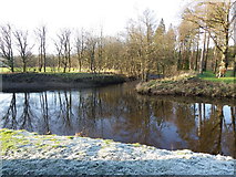 SD6650 : River Hodder at Confluence with River Dunsop by Tom Howard