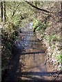 Bourn Brook About to Pass Under West Boulevard