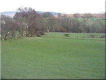 SJ0343 : Farmland near Druid by M J Richardson
