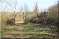 Looking towards Southfield Manor