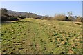 Hillside below Daisy Bank Road