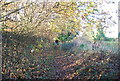 Footpath past Maidstone Cemetery