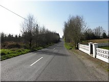 H2512 : Road at Tullynabeherny by Kenneth  Allen