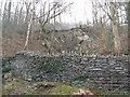 Old quarry at Bron-y-Graig